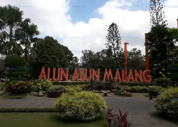 Rekomendasi Kos Murah Malang Dekat Kampus & Pusat Kota